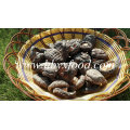 Venta al por mayor Seta de Shiitake lisa vegetal seca